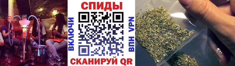 Купить  Далматово  БУТИРАТ буратино 