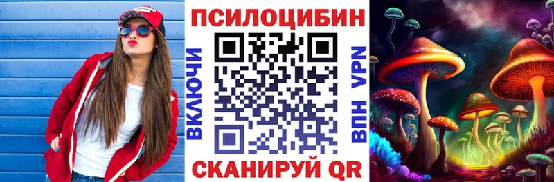 Купить закладки  Далматово  Псилоцибиновые грибы мицелий 