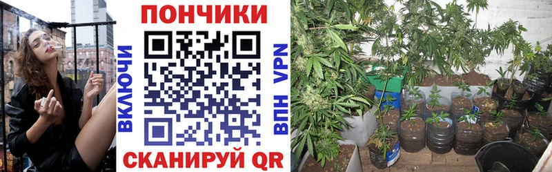 Марихуана планчик Далматово