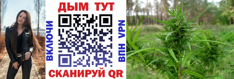 Купить  Далматово  Конопля Bruce Banner 